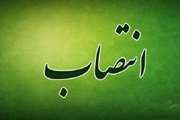 انتصاب الهه شکیبائی به عنوان مدیر امور عمومی سازمان های مردم نهاد و خیرین سلامت دانشگاه علوم پزشکی تهران